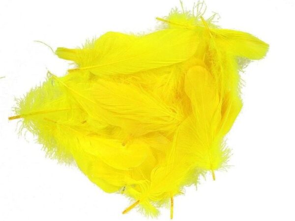 Decorative Feathers