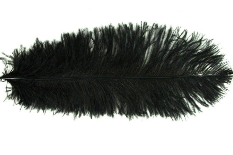 Decorative Feathers BLACK