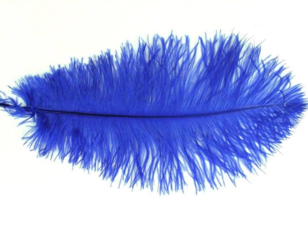 Decorative Feathers