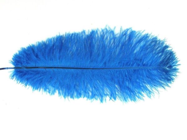 Decorative Feathers