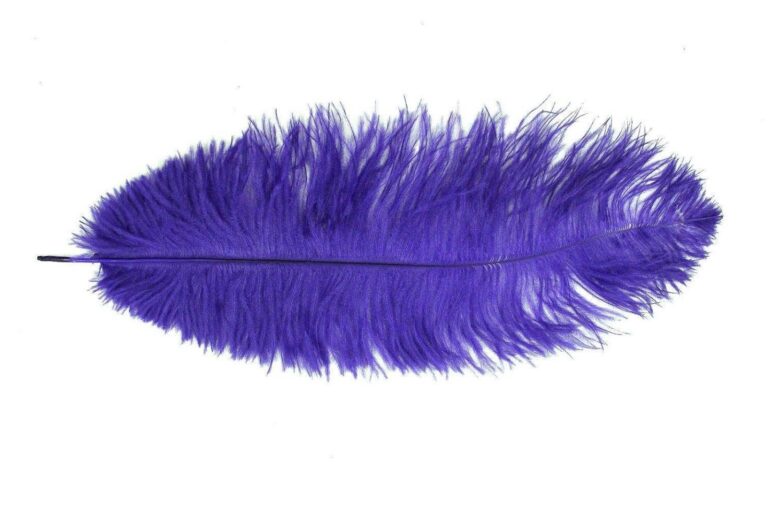 Decorative Feathers PURPLE