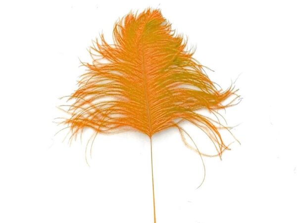 Decorative Feathers