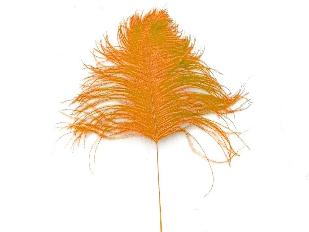 Decorative Feathers