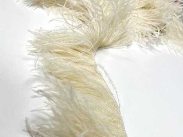 Ostrich Feather Fringe Trim