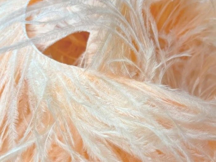 Ostrich Feather Fringe Trim CHAMPAGNE