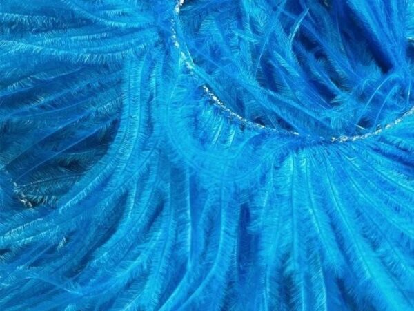 Ostrich Feather Fringe Trim