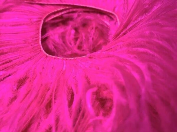 Ostrich Feather Fringe Trim