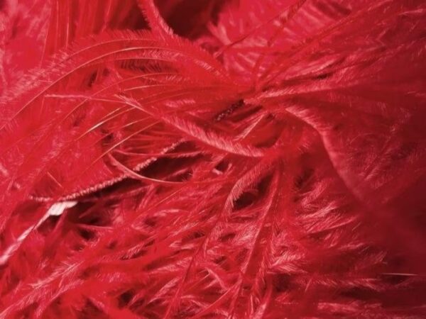 Ostrich Feather Fringe Trim
