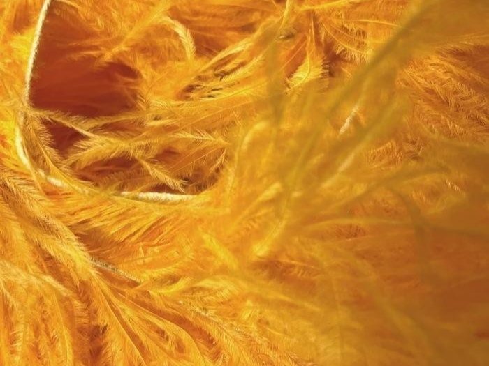 Ostrich Feather Fringe Trim - SAFFRON