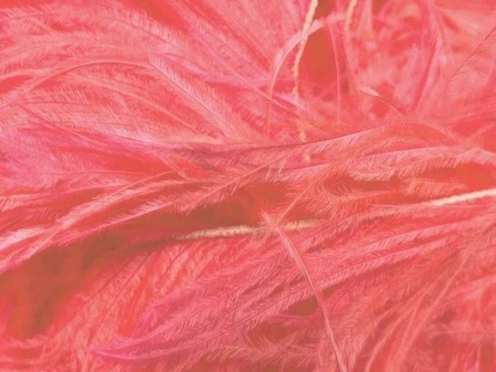 Ostrich Feather Fringe Trim - SALMON