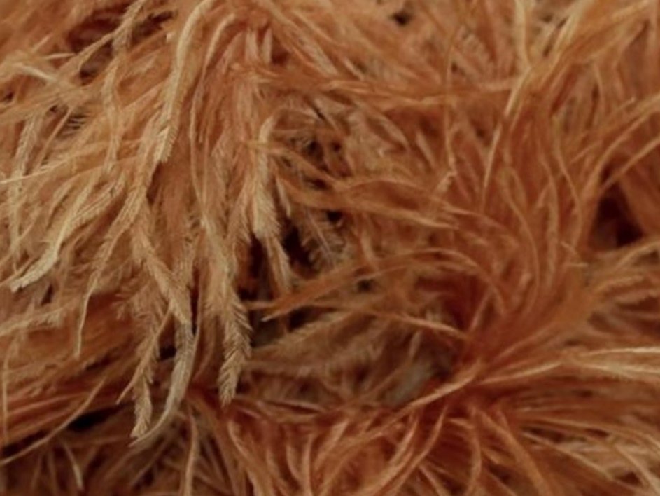 Pure Ostrich Feather Boa Lux 6 Ply
