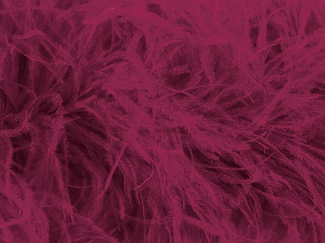 Pure Ostrich Feather Boa Lux 6 Ply WINE