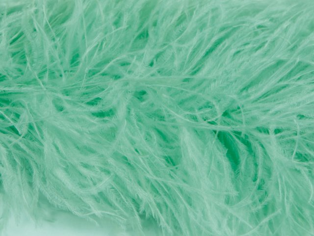 Pure Ostrich Feather Boa Lux 6 Ply SPEARMINT