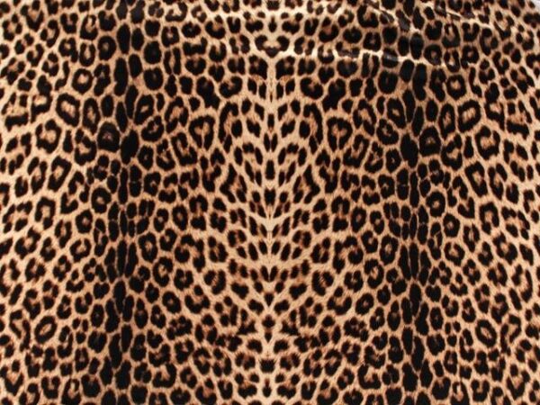 Print On Lycra