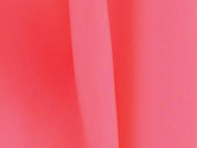 Lustre Lycra - Chrisanne Clover SALMON
