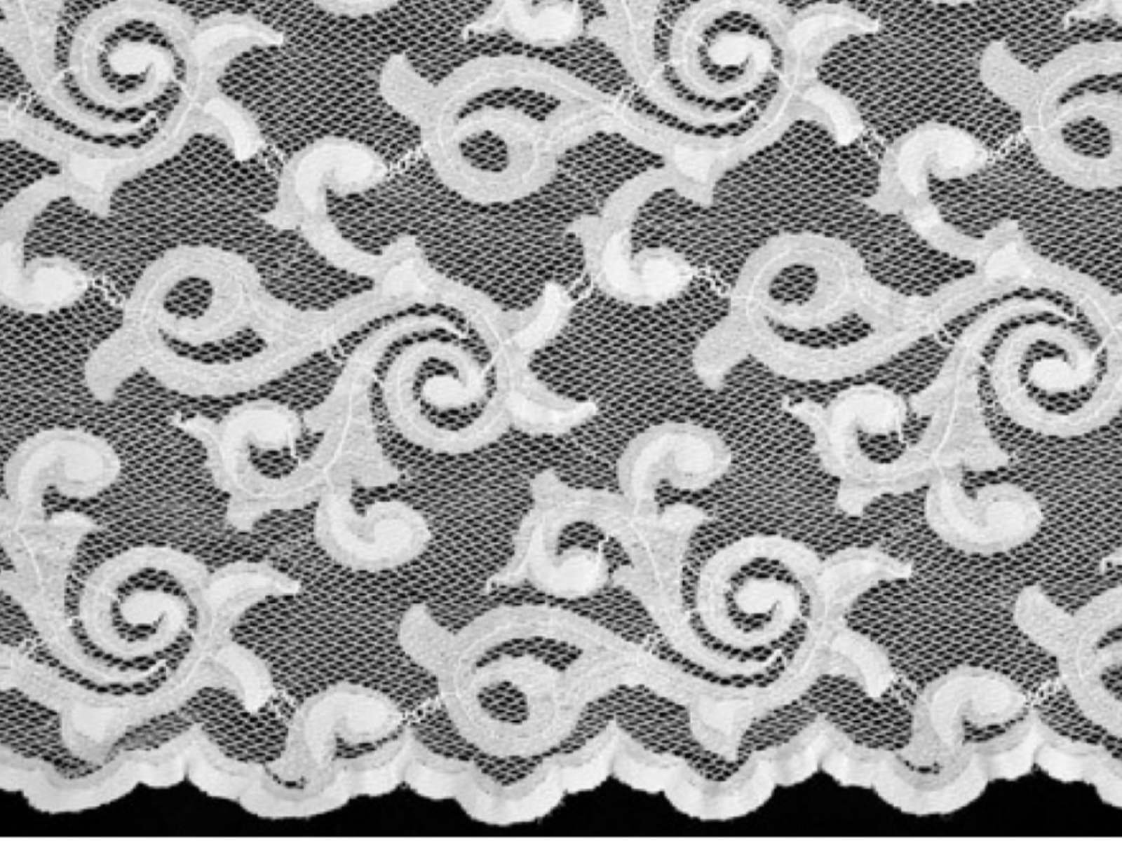 Lola Stretch Lace
