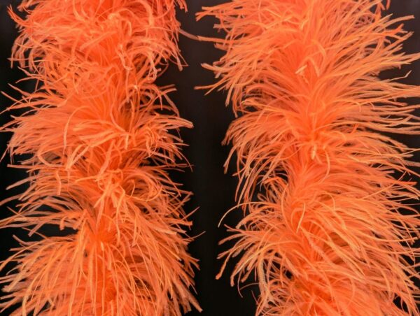 Ostrich Feather Boa Lux 5 Ply