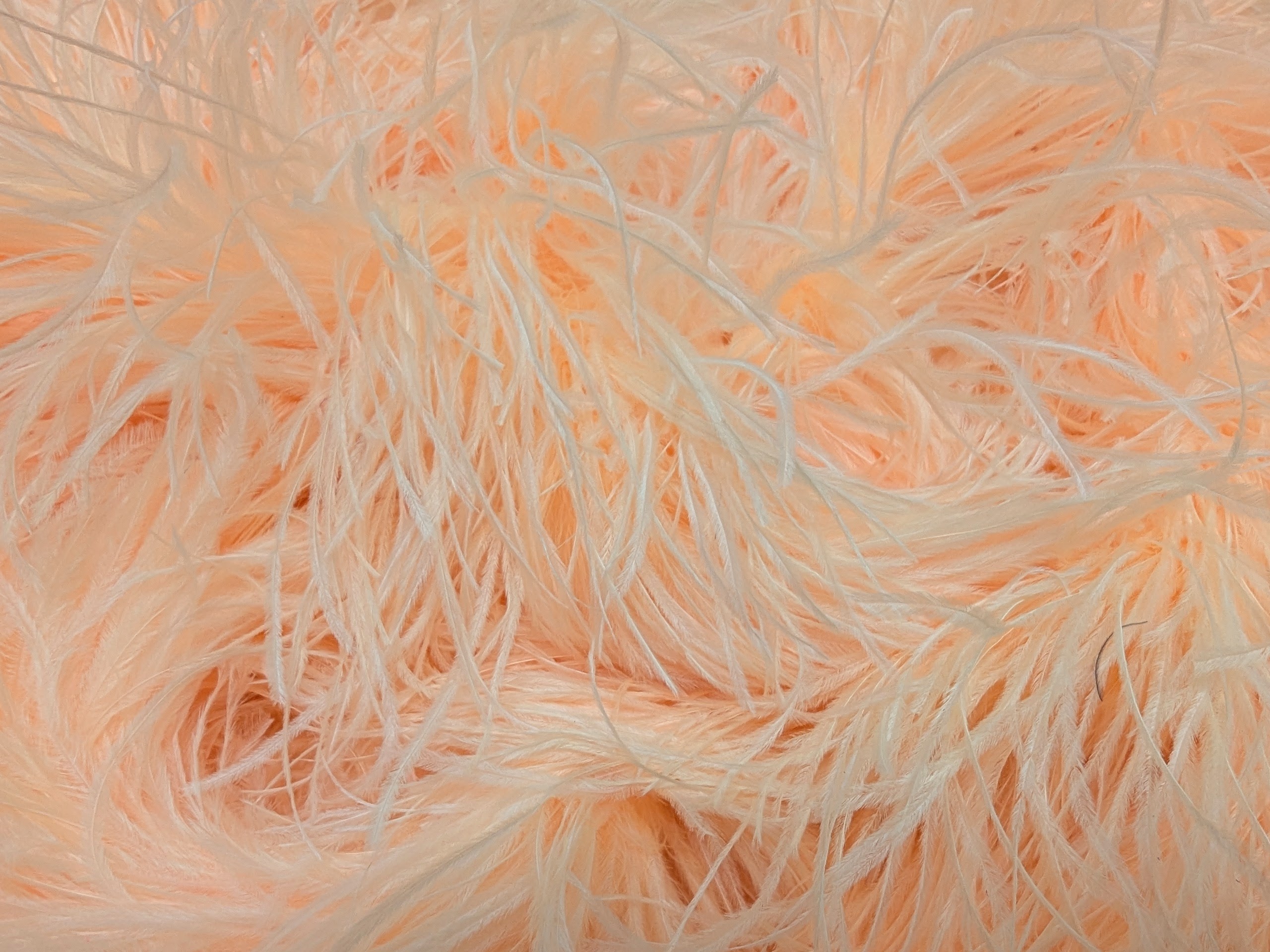 Ostrich Feather Boa Lux 5 Ply