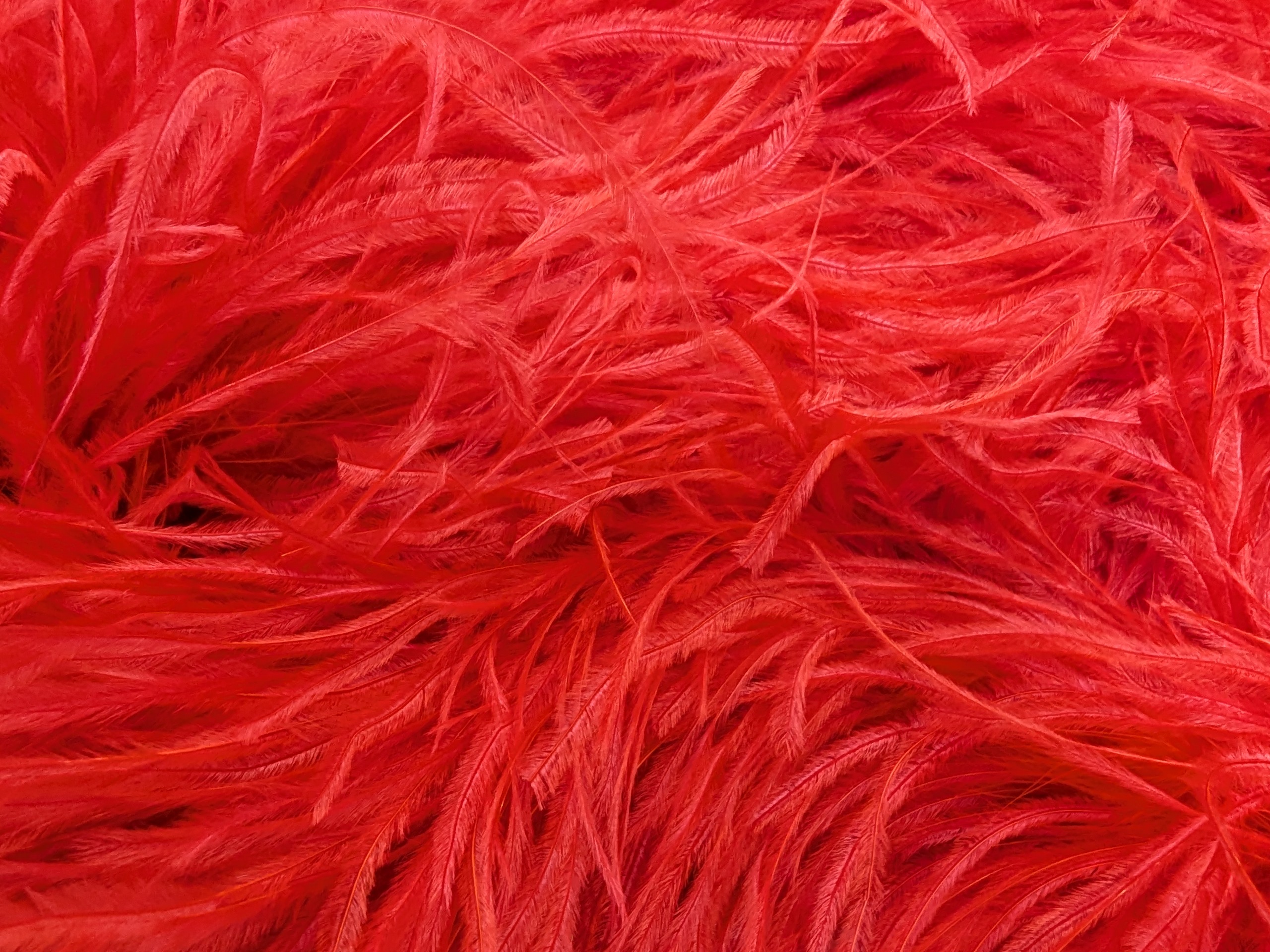 Ostrich Feather Boa Lux 5 Ply