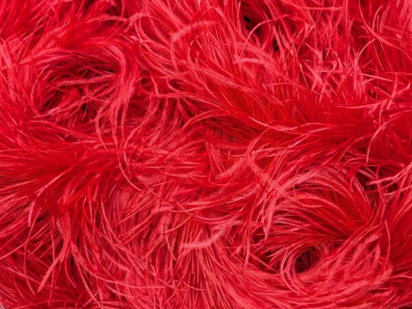 Ostrich Feather Boa Lux 5 Ply