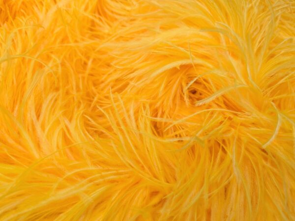 Ostrich Feather Boa Lux 5 Ply