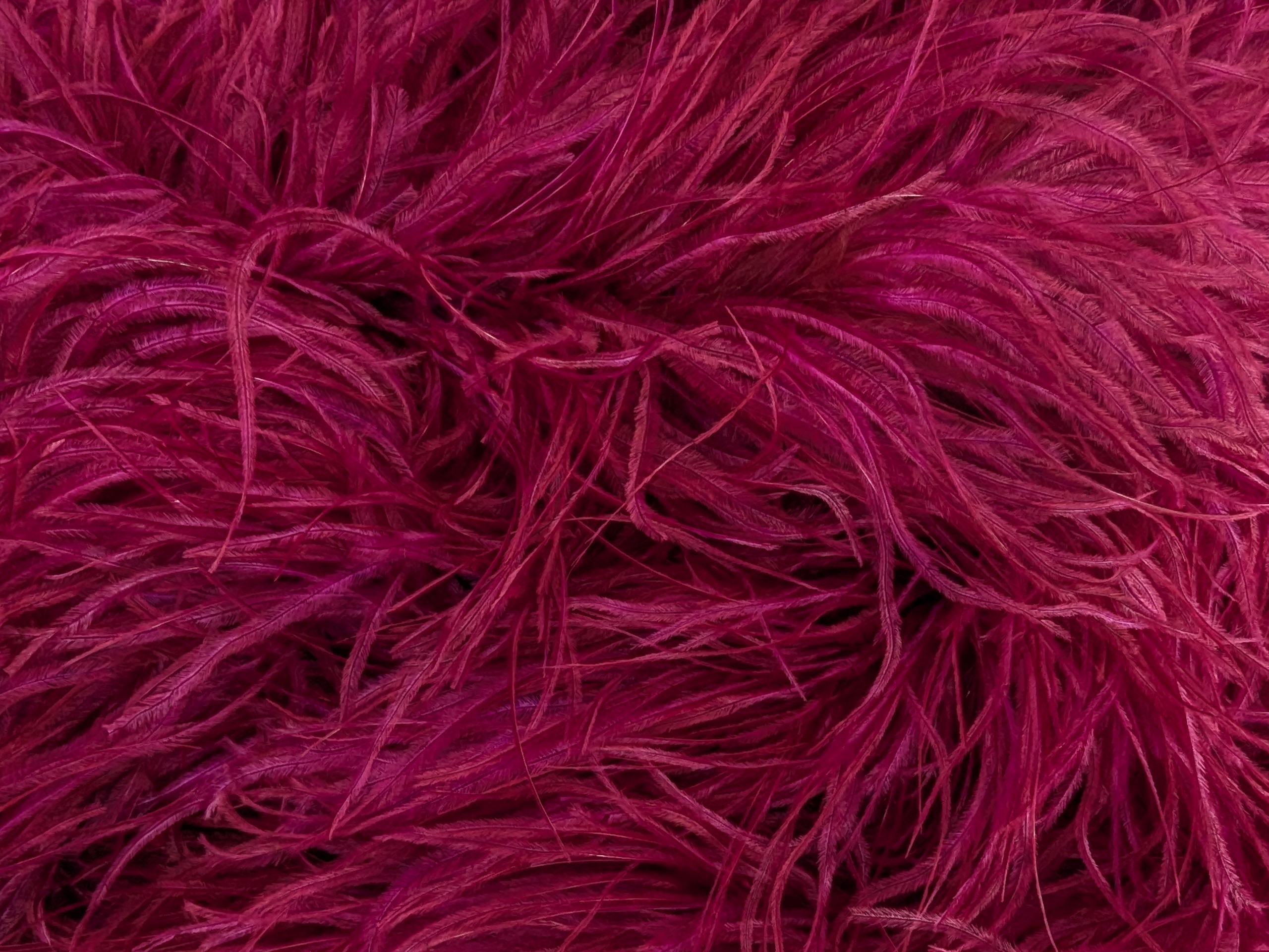 Ostrich Feather Boa Lux 5 Ply